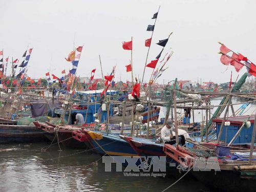 Khẩn cấp kêu gọi tàu, thuyền vào nơi trú, tránh bão